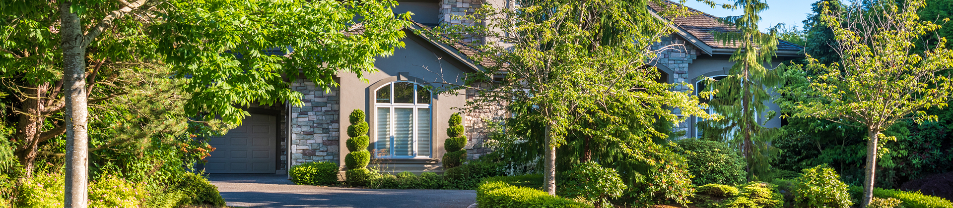 Tree-lined residential property with mature trees surrounding the home