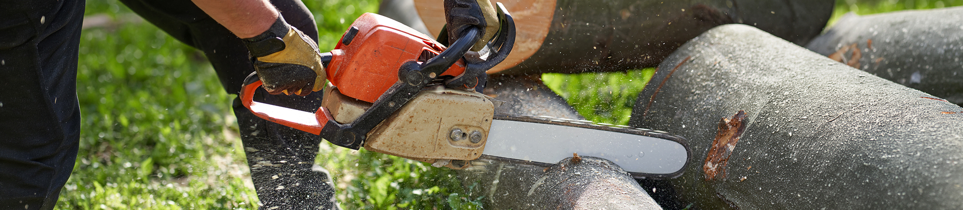 Chainsaw cutting through a fallen tree trunk during removal work