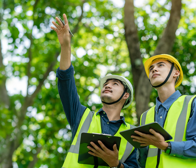 Tree care professionals documenting conditions during a tree inventory