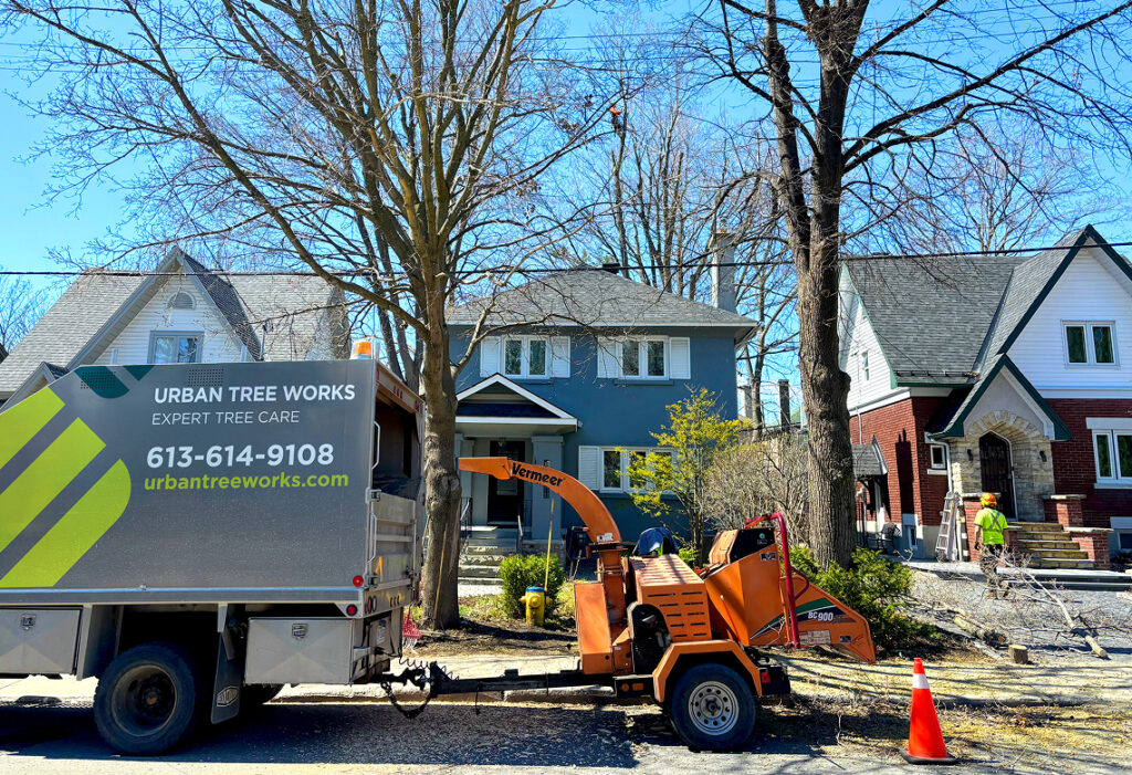 Urban Tree Works truck and wood chipper parked at a residential tree care site